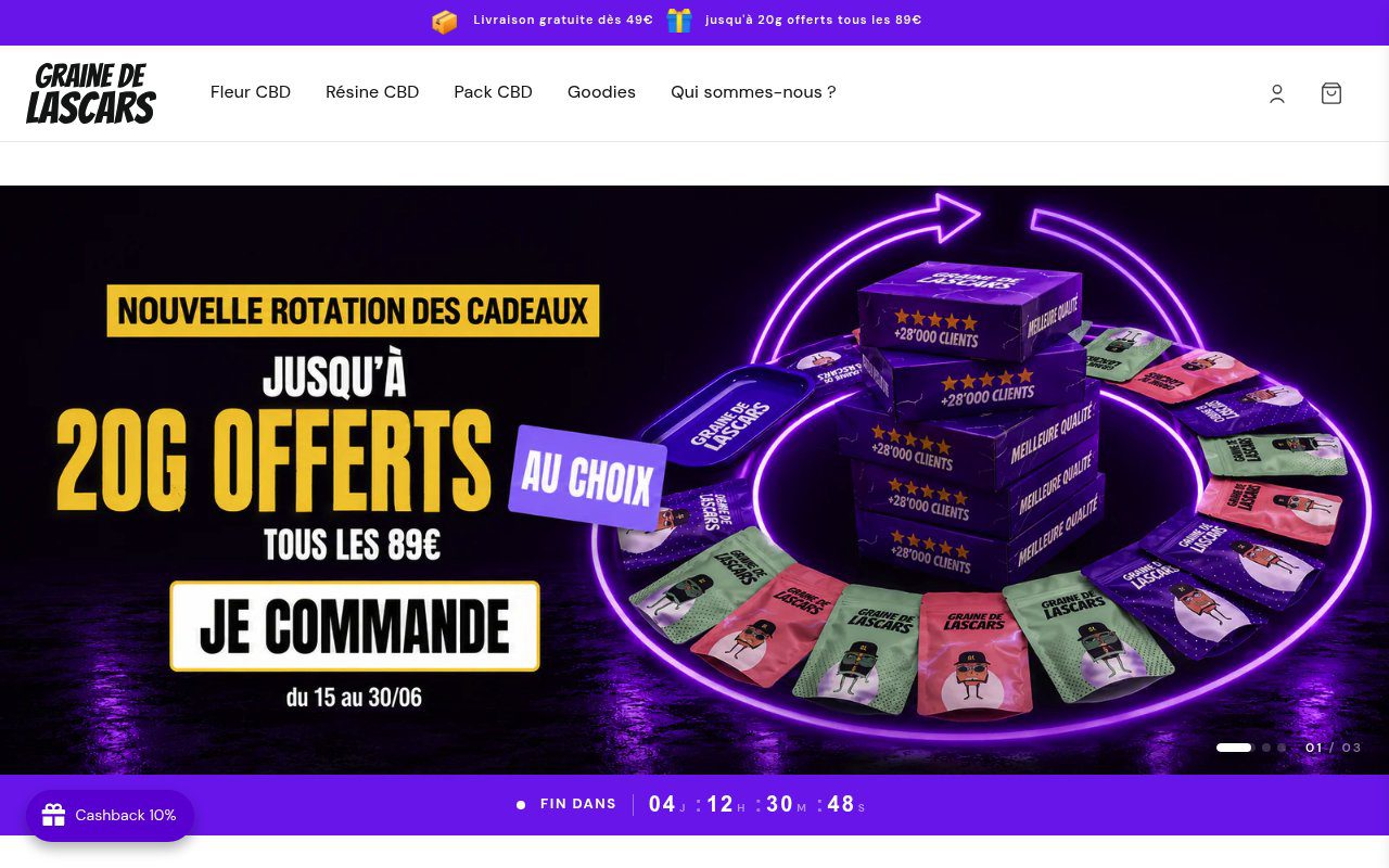 Apercu du site Graine de Lascars
