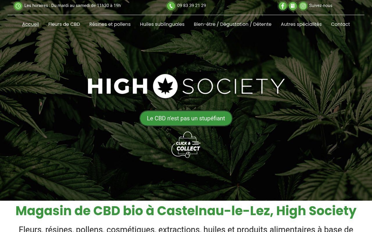 Apercu du site High Society